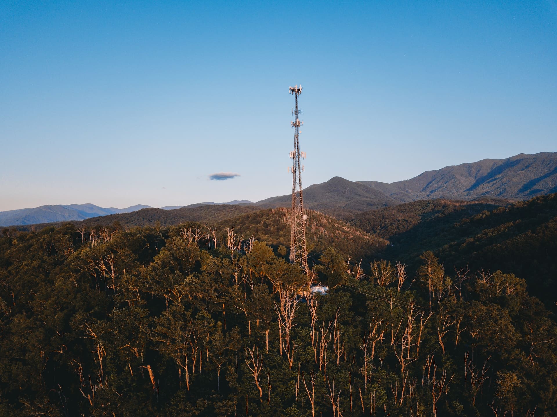 placeholder image-sq